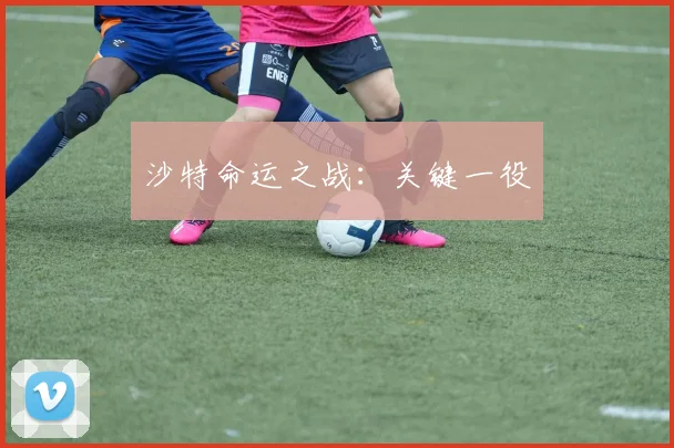 沙特命运之战：关键一役