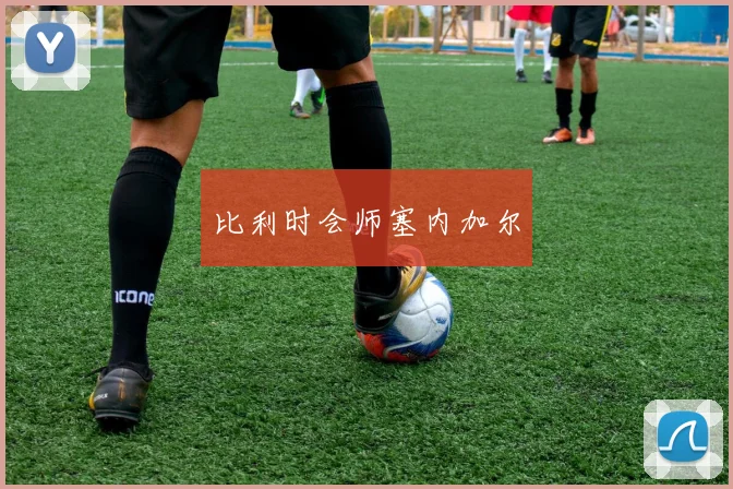 比利时会师塞内加尔