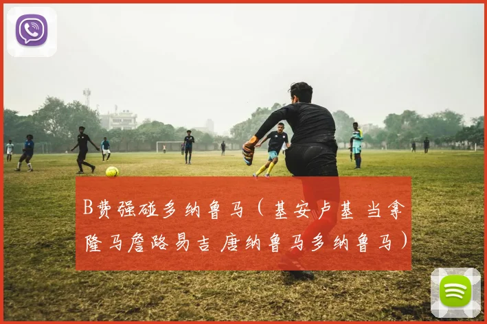 B费强碰多纳鲁马（基安卢基 当拿隆马詹路易吉 唐纳鲁马多纳鲁马）
