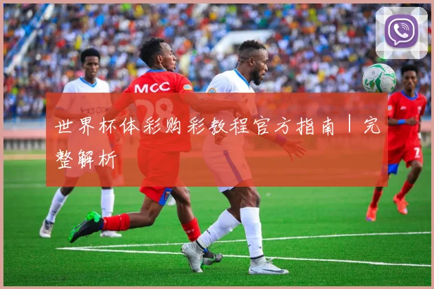 世界杯体彩购彩教程官方指南｜完整解析