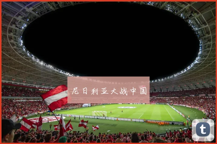 尼日利亚大战中国