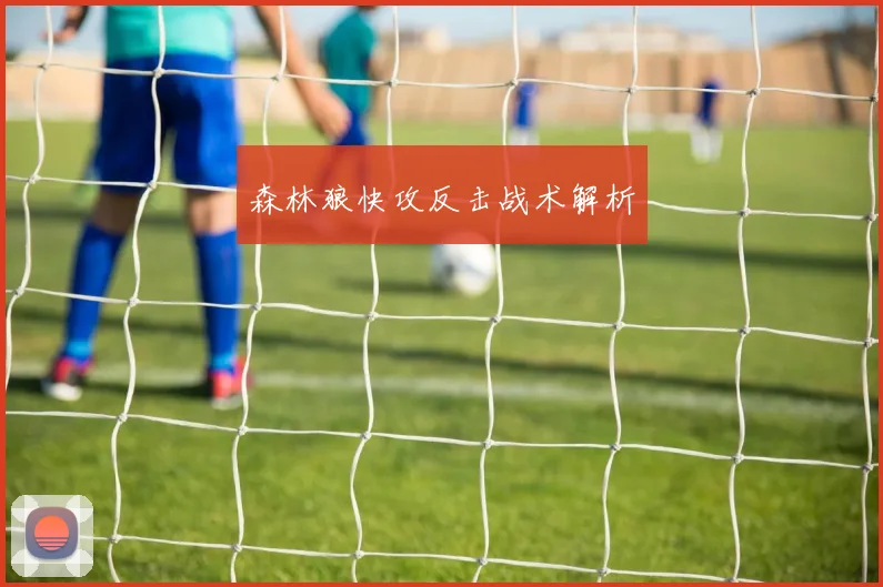 森林狼快攻反击战术解析