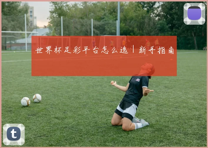 世界杯足彩平台怎么选｜新手指南